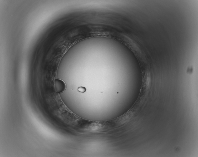 X0000111020764200906191652