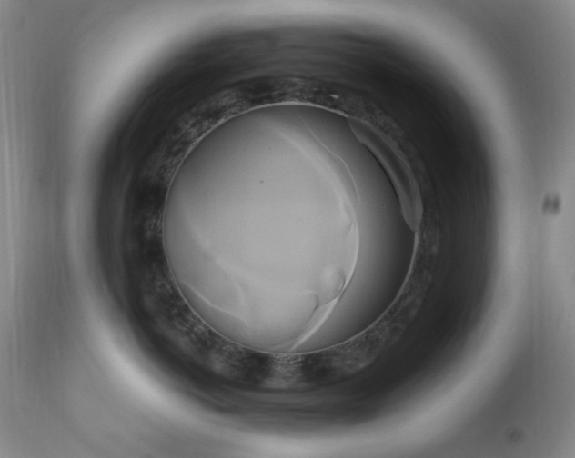 X0000111020766200906191652