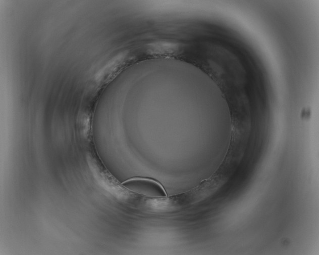 X0000111020767200906191652
