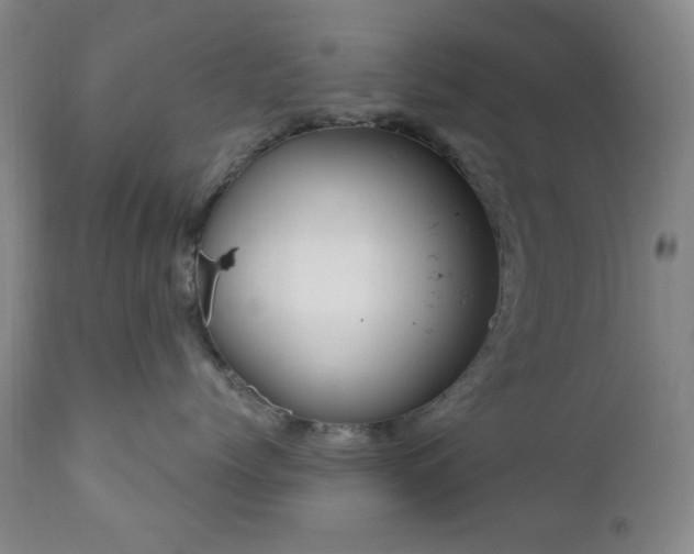 X0000111020768200906191652