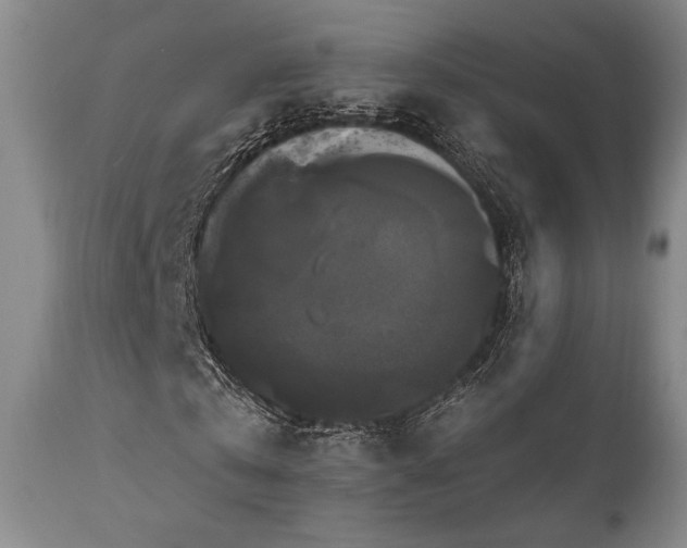 X0000111020769200906191651