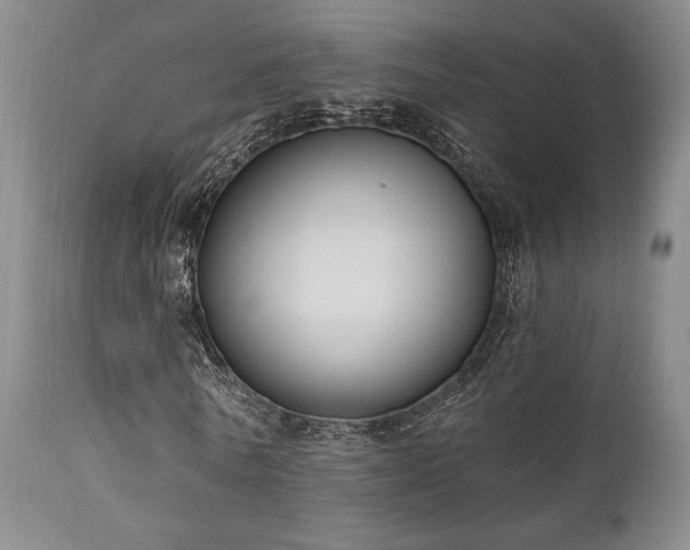 X0000111020770200906191651