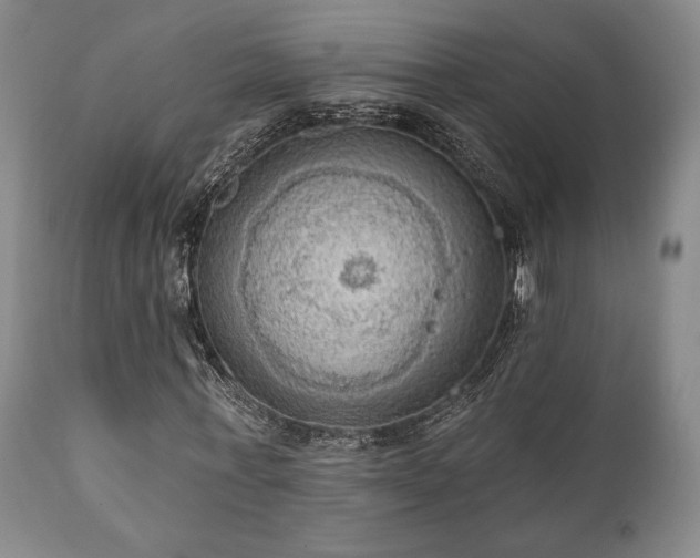 X0000111020771200906191651