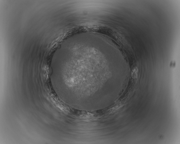 X0000111020772200906191651