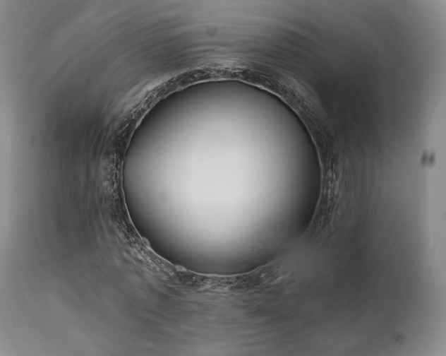 X0000111020773200906191651