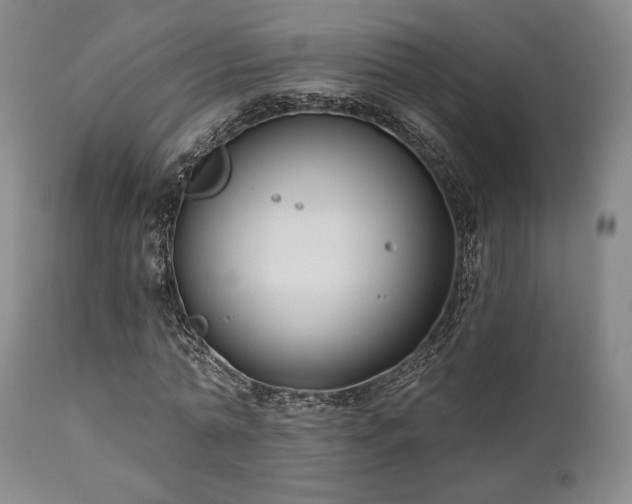 X0000111020774200906191651