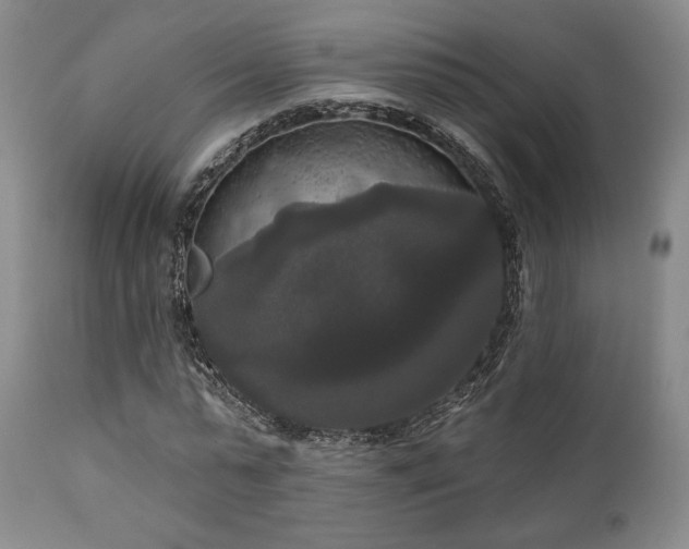 X0000111020775200906191651