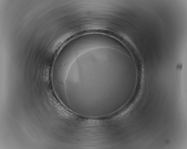 X0000111020777200906191651
