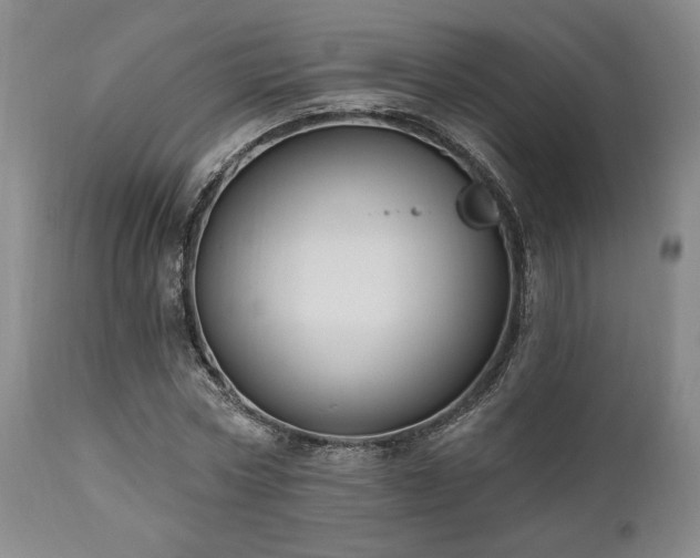 X0000111020778200906191651