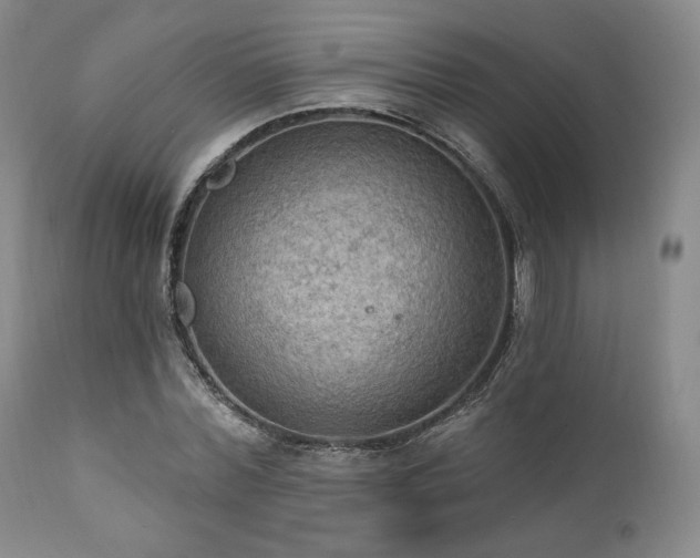 X0000111020780200906191651
