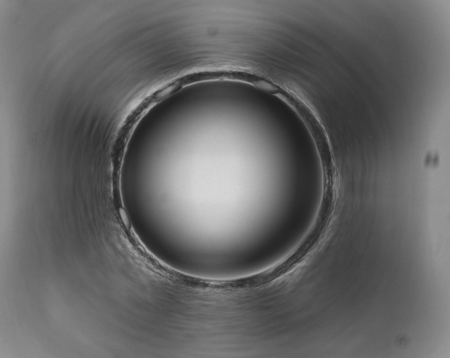 X0000111020781200906191651