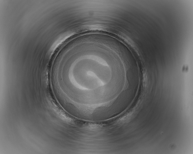 X0000111020782200906191651