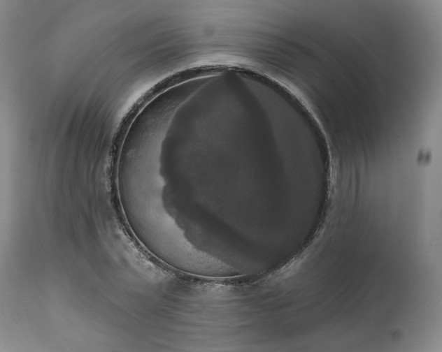 X0000111020783200906191651