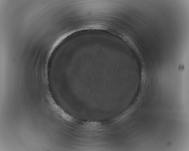 X0000111020784200906191651