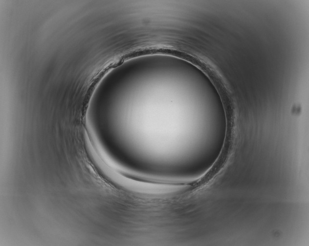 X0000111020785200906191651