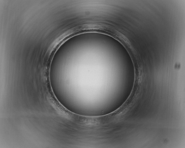 X0000111020786200906191651