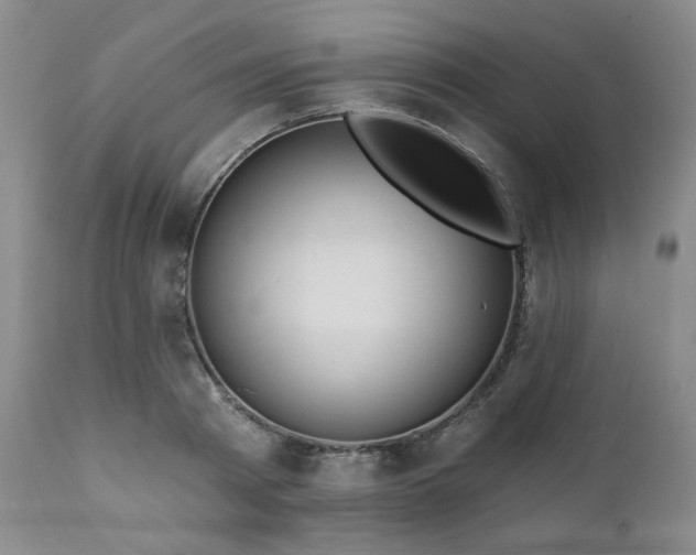 X0000111020793200906191651