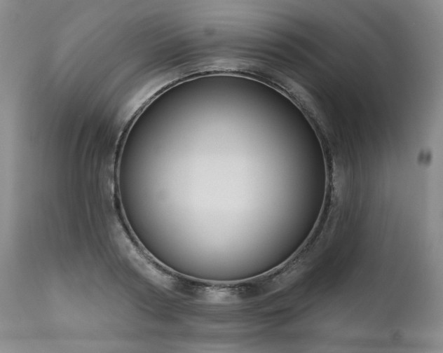 X0000111020794200906191651