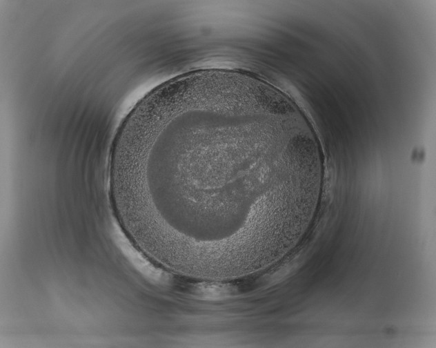 X0000111020795200906191651