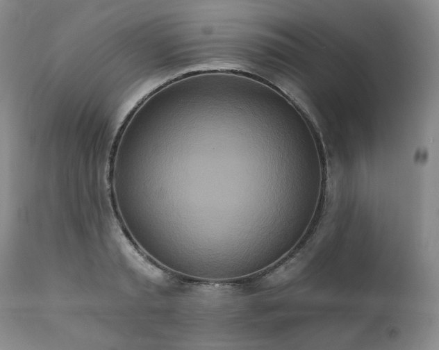 X0000111020797200906191651