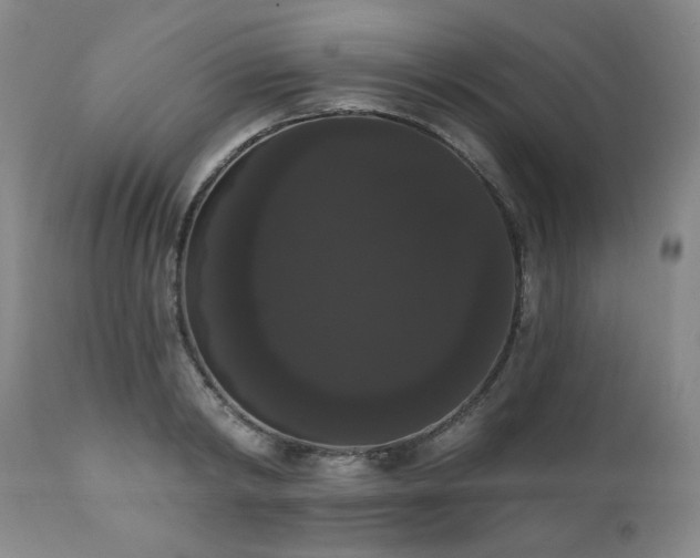 X0000111020798200906191651