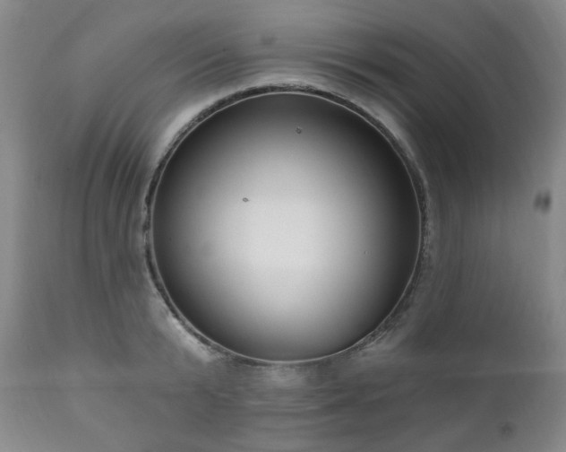 X0000111020799200906191651