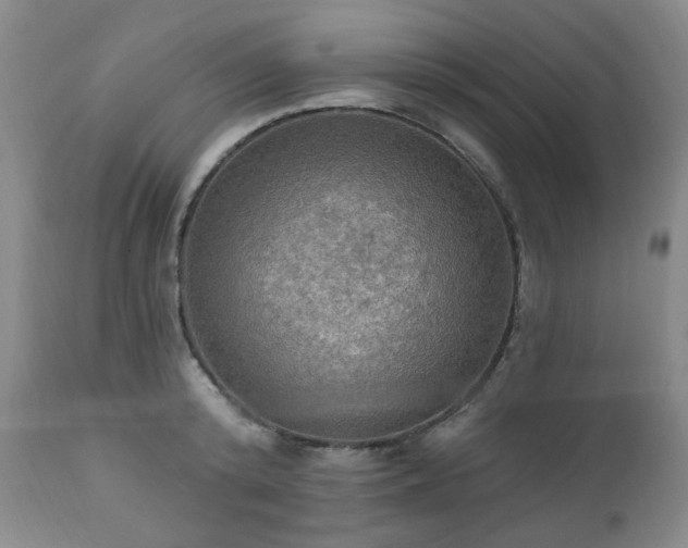X0000111020800200906191651