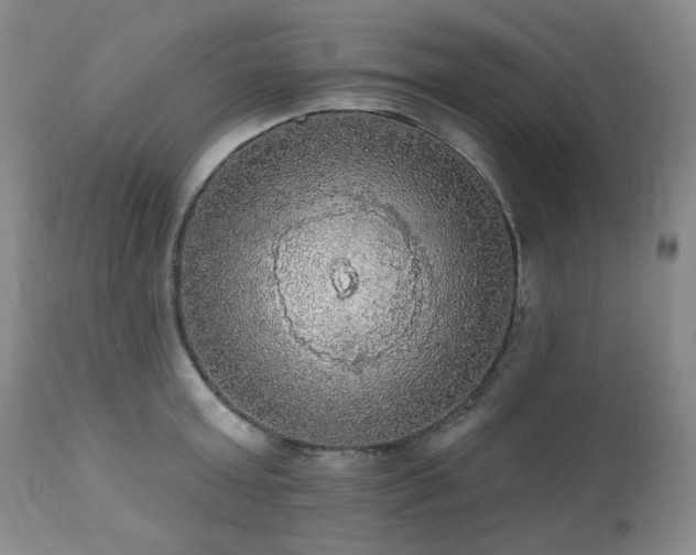 X0000111020803200906191651
