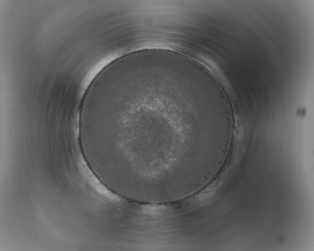 X0000111020804200906191651