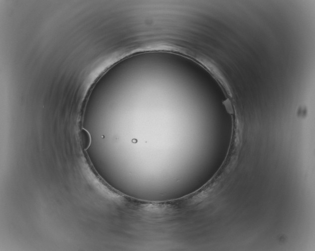 X0000111020805200906191651