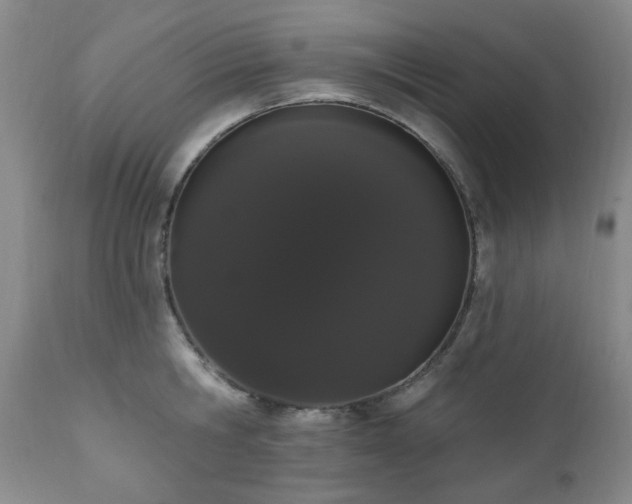 X0000111020806200906191651