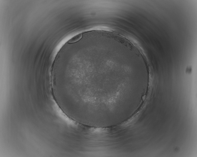 X0000111020808200906191651