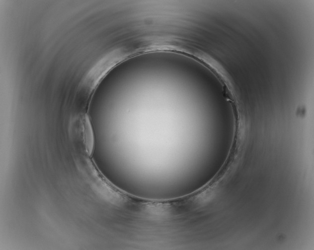 X0000111020809200906191651