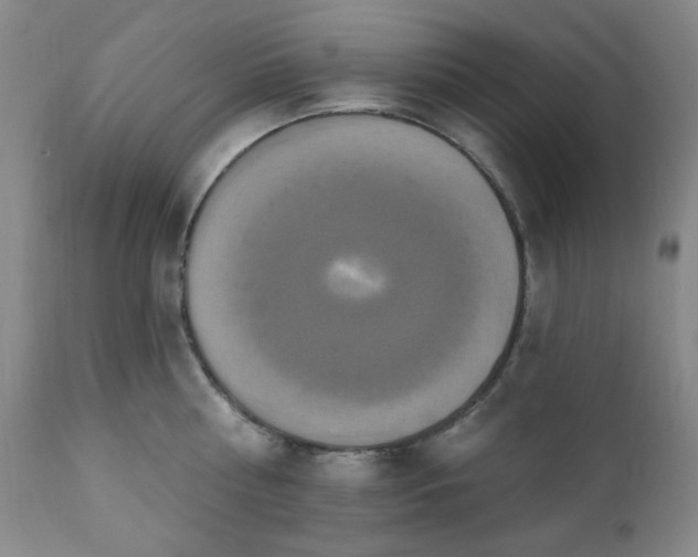 X0000111020810200906191651