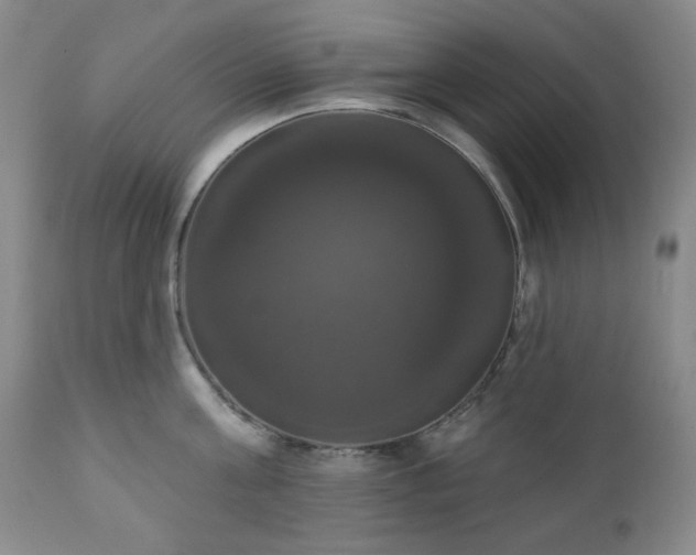 X0000111020811200906191651