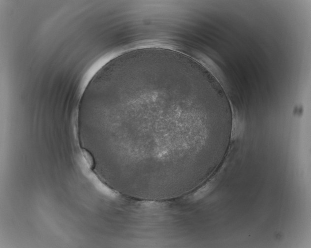 X0000111020812200906191651