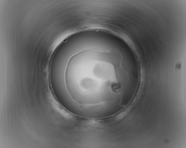 X0000111020814200906191651