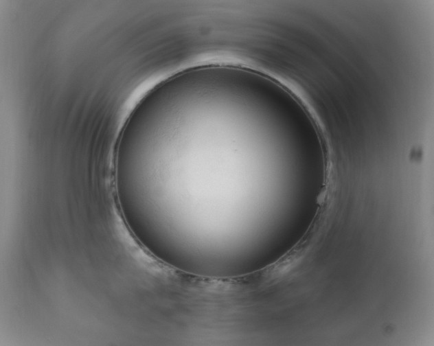 X0000111020815200906191651