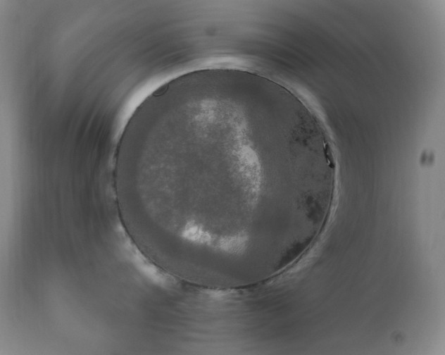 X0000111020816200906191651