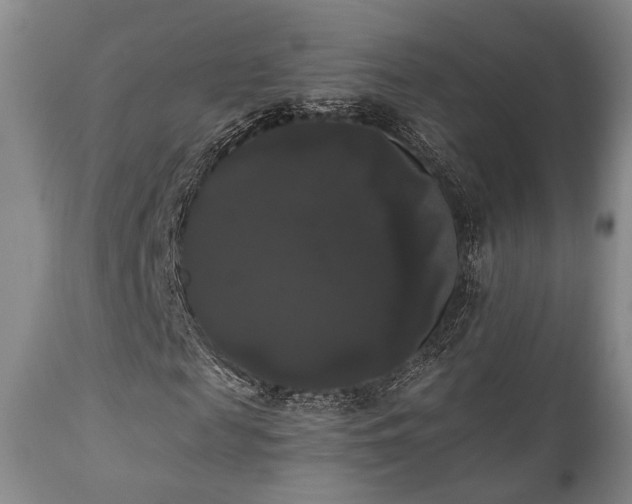 X0000111020817200906191650
