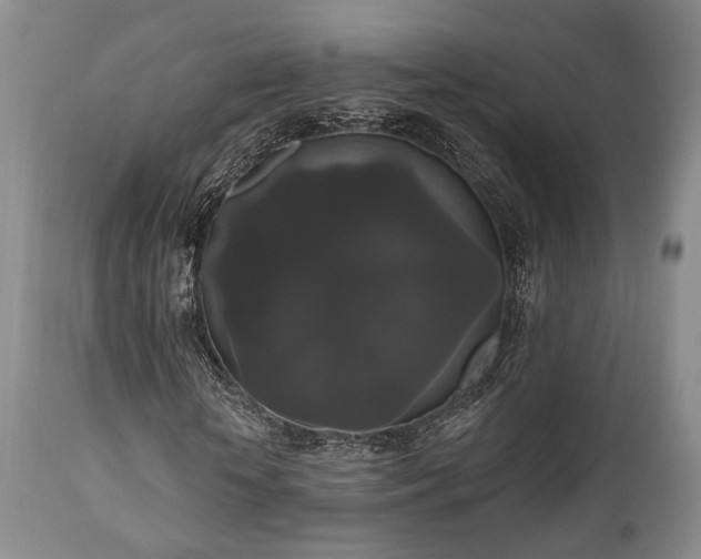 X0000111020818200906191650
