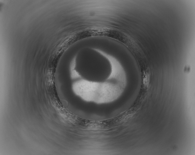 X0000111020819200906191650