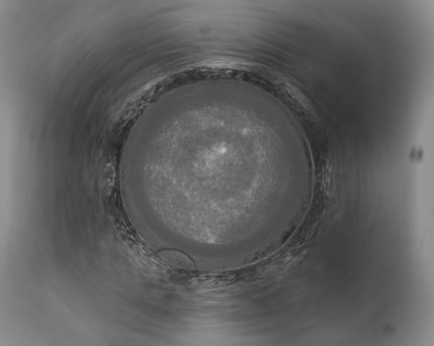 X0000111020821200906191650