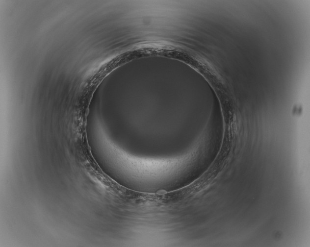 X0000111020822200906191650