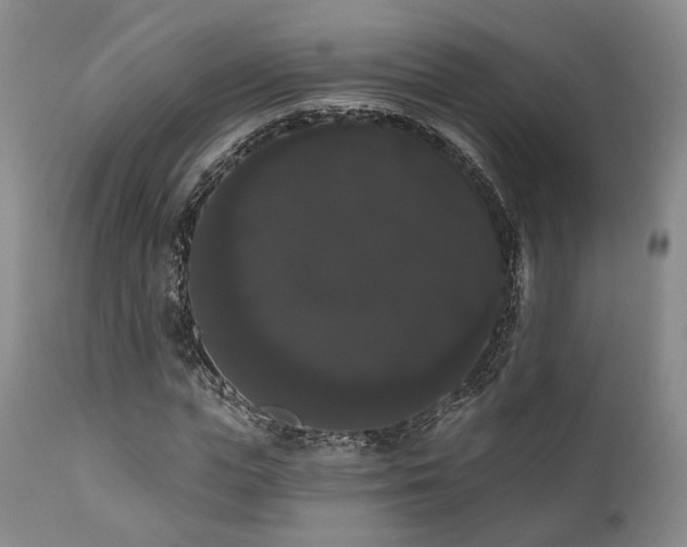 X0000111020823200906191650