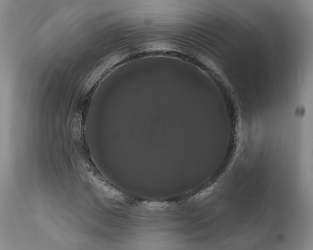 X0000111020825200906191650