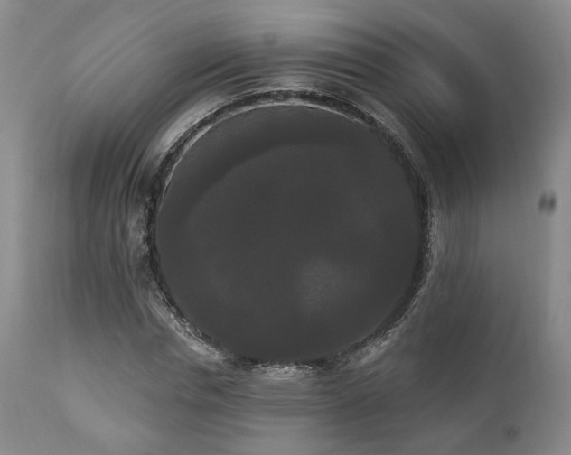 X0000111020826200906191650