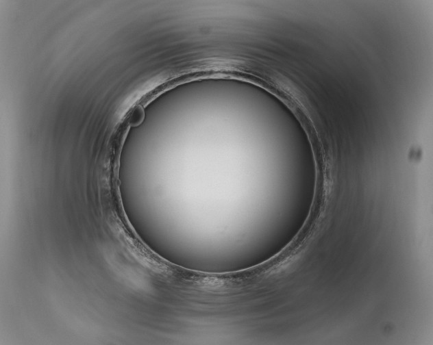X0000111020827200906191650