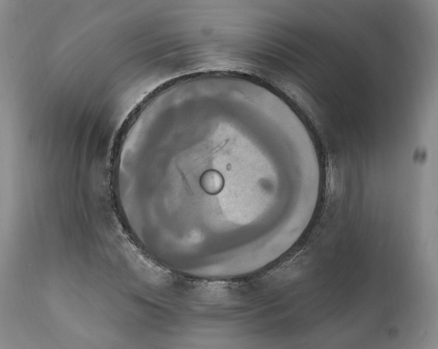 X0000111020828200906191650