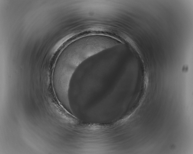 X0000111020829200906191650